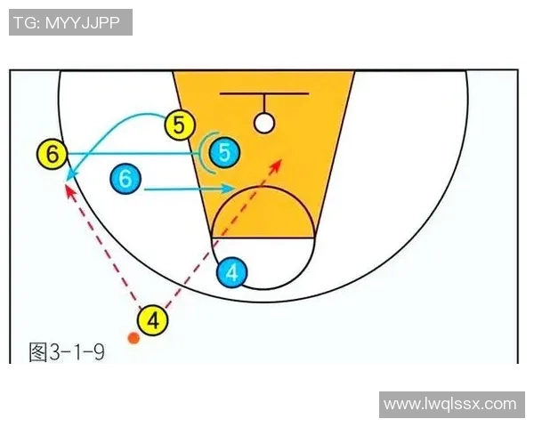 全面解析现代篮球战术演变与球星风格融合趋势及未来发展展望前景探讨