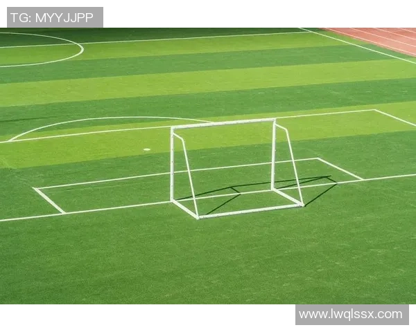 聚焦绿茵赛场深入解析全球足球战术发展新趋势与未来走向全面探讨