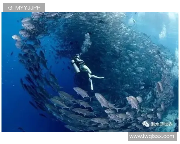 向鱼王者的传奇旅程探寻水下世界的神秘与勇气
